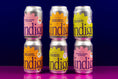 Load image into Gallery viewer, A set of six canned beverages arranged in two rows with three cans in each row. The cans are labeled 'Indigo' with different flavors indicated by colour-coded labels.

