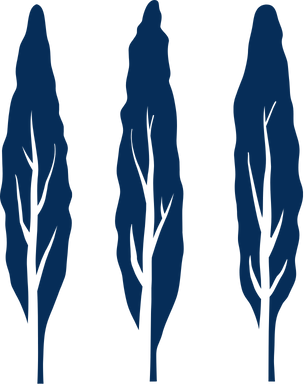 Ona Coffee logo